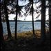 Patrick Bass Grieves - Facebook
