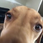 Patrick Griffis - @patrick.griffis - Instagram