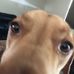 Patrick Griffis - Facebook