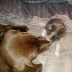 @patrick_griggs - Instagram