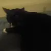 patrickgriggs217 - @patrickgriggs217 - TikTok