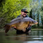 Patrick Groenewegen - @patrick_groenewegen_carpangler - Instagram