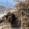 Patrick Groleau - @patrick.groleau2 - TikTok