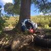 patrickgroom458 - @patrickgroom458 - TikTok