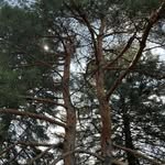 Patrick Groulx - @patrick.groulx.73 - Instagram