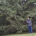 Patrick Soucy Guérette - @patrickswidjy - Instagram