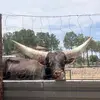 pattywagon - @patrickguerra95 - TikTok