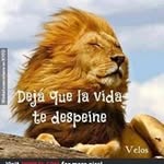 patrick guess - @matotunco72 - Instagram