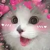 patrick_i_guess_lol - @patrick_i_guess_l43 - TikTok