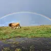 Patrick Guiheneuf - @patrick.guiheneuf - TikTok