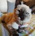 Patrick Guillen - Facebook