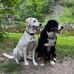 Patrick Guimond - Facebook