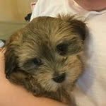 Patrick Guinther - @guintherpatrick - Instagram