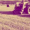 patrickguineystud - @patrickguineystud - TikTok