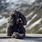 Patrick Guo - @yguo - Instagram