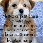 Patrick Guyon - @patrick.guyon.754 - Instagram