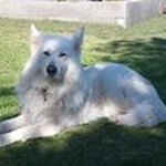 Patrick Hagedorn - @patrickh2411 - Instagram
