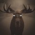 Patrick Hagedorn - Facebook