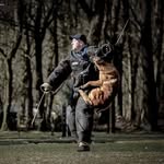 Patrick Hageman - @patrick.hageman - Instagram
