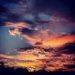 Patrick Hagerman - @hagermapatrick - Instagram