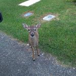 Patrick Hagman - @hagmanpatrick - Instagram