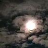 Patrick Hahn - @patrickhahn727 - TikTok