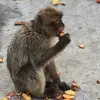 Patrick Haight - @patrick.haight2 - TikTok