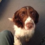 @patrickhales - Instagram