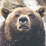 Patrick Dennis Halley - @patrickdennish - Instagram