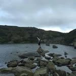 Patrick Halloran - @pathall04 - Instagram