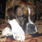 Patrick Halloran - @halloran_patrick - Instagram