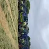 Patrick halpin - @patrick_halpin77 - TikTok