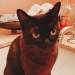 Patrick Halstead - @patrickhalstead - Instagram