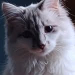 Patrick Halterman - @buzzntripp - Instagram