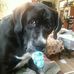Patrick Hambleton - Facebook