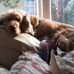 Patrick Hambleton - Facebook