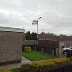 Patrick Hamill - @hamillpatrick086 - Instagram