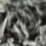 Patrick Hamill - @patrick_hamill_ - Instagram