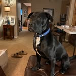 Patrick Hanes - @hanes3551 - Instagram
