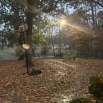 Patrick Hannah - @patrick.han1 - Instagram