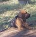 Patrick Hannifin - Facebook