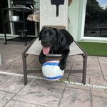 Patrick Harder - @harder4614 - Instagram