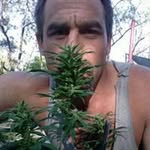 Patrick Hardin - @hardin.patrick - Instagram