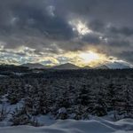 Patrick Hardman - @patrickpnw2087 - Instagram