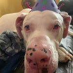 Patrick Hare - @hare4192 - Instagram