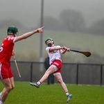 Patrick Harley - @patrickharley66 - Instagram