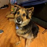 Patrick Harmon - @patrick.harmon.714 - Instagram