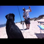 Patrick Harmon - @prharmon - Instagram