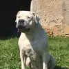 patrick.haro - @patrick.haro - TikTok