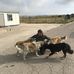 Patrick Harrold - Facebook